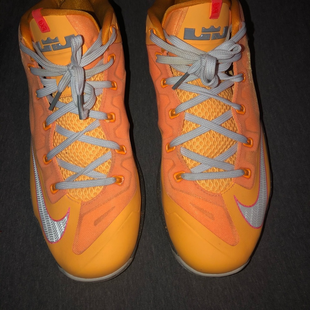 Nike Lebron 11 low Floridian